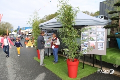 POUZAUGES-FOIRE-AUTOMNE-2019-21