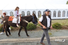 POUZAUGES-FOIRE-AUTOMNE-2019-57