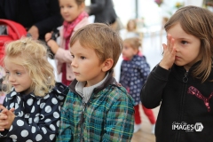 POUZAUGES-FOIRE-AUTOMNE-2019-69