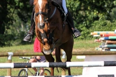 LES-PHOTOS-DE-ROSE-DALLIER-01012000-Equitation-1