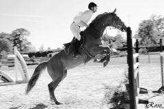 LES-PHOTOS-DE-ROSE-DALLIER-01012000-Equitation-10