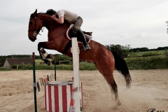 LES-PHOTOS-DE-ROSE-DALLIER-01012000-Equitation-12