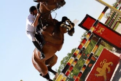 LES-PHOTOS-DE-ROSE-DALLIER-01012000-Equitation-6