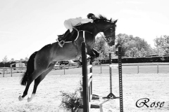 LES-PHOTOS-DE-ROSE-DALLIER-01012000-Equitation-9