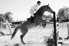 LES-PHOTOS-DE-ROSE-DALLIER-Equitation-10