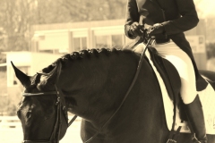 LES-PHOTOS-DE-ROSE-DALLIER-Equitation-2