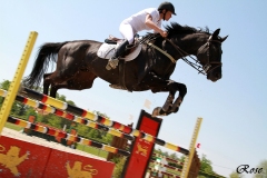 LES-PHOTOS-DE-ROSE-DALLIER-Equitation-5