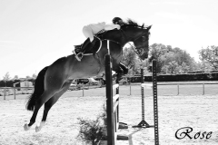 LES-PHOTOS-DE-ROSE-DALLIER-Equitation-9