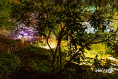 MAULEVRIER-PARC-ORIENTAL-DE-NUIT-2019-19