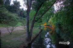 MAULEVRIER-PARC-ORIENTAL-DE-NUIT-2019-2