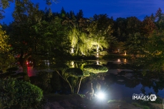 MAULEVRIER-PARC-ORIENTAL-DE-NUIT-2019-22