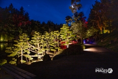 MAULEVRIER-PARC-ORIENTAL-DE-NUIT-2019-25