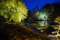 MAULEVRIER-PARC-ORIENTAL-DE-NUIT-2019-26