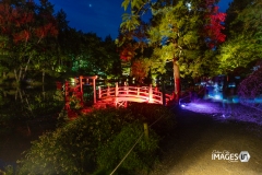 MAULEVRIER-PARC-ORIENTAL-DE-NUIT-2019-28