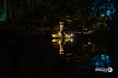 MAULEVRIER-PARC-ORIENTAL-DE-NUIT-2019-33