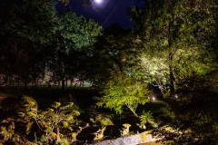 MAULEVRIER-PARC-ORIENTAL-DE-NUIT-2019-36