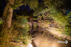 MAULEVRIER-PARC-ORIENTAL-DE-NUIT-2019-38