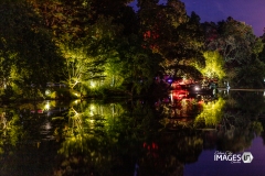 MAULEVRIER-PARC-ORIENTAL-DE-NUIT-2019-43