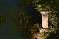 MAULEVRIER-PARC-ORIENTAL-DE-NUIT-2019-44