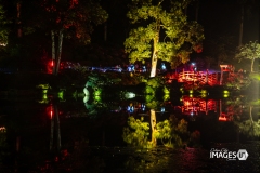 MAULEVRIER-PARC-ORIENTAL-DE-NUIT-2019-46