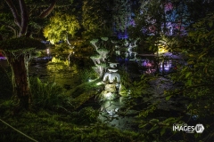 MAULEVRIER-PARC-ORIENTAL-DE-NUIT-2019-52