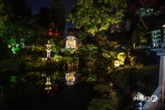 MAULEVRIER-PARC-ORIENTAL-DE-NUIT-2019-53