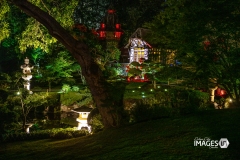 MAULEVRIER-PARC-ORIENTAL-DE-NUIT-2019-54